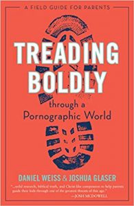 Treading Boldly Through a Pornographic World