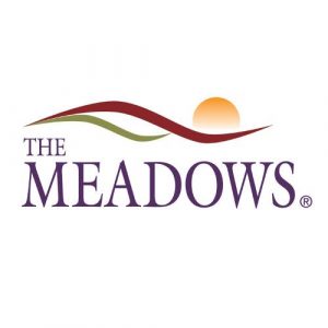 The Meadows Workshops