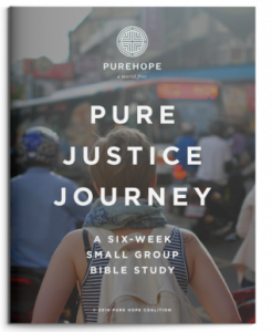 Pure Justice Journey